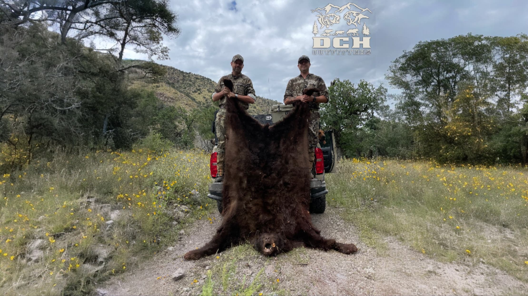 Two men hold up a large brown bear hide in front of a truck. The men wear camouflage. The background includes trees, flowe...