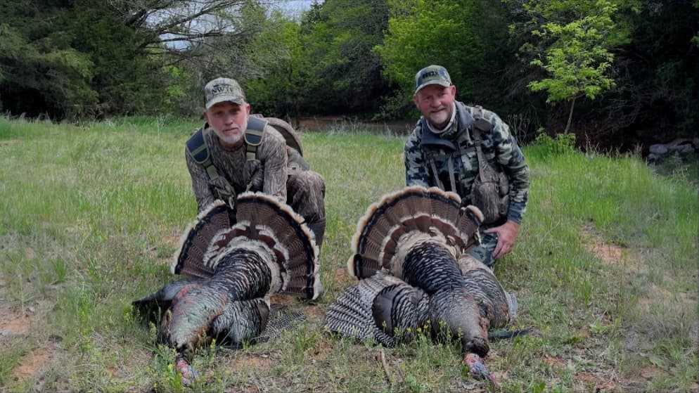 Two men in camouflage kneel behind two wild turkeys with fanned-out tail feathers. They are in a grassy field.