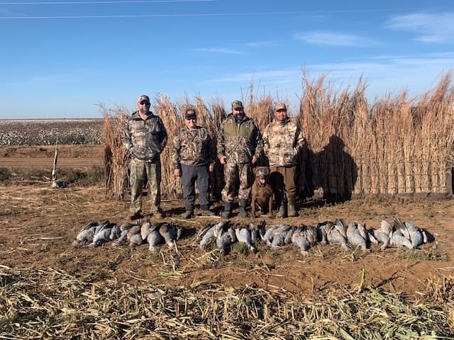 Oklahoma Sandhill Crane Hunt