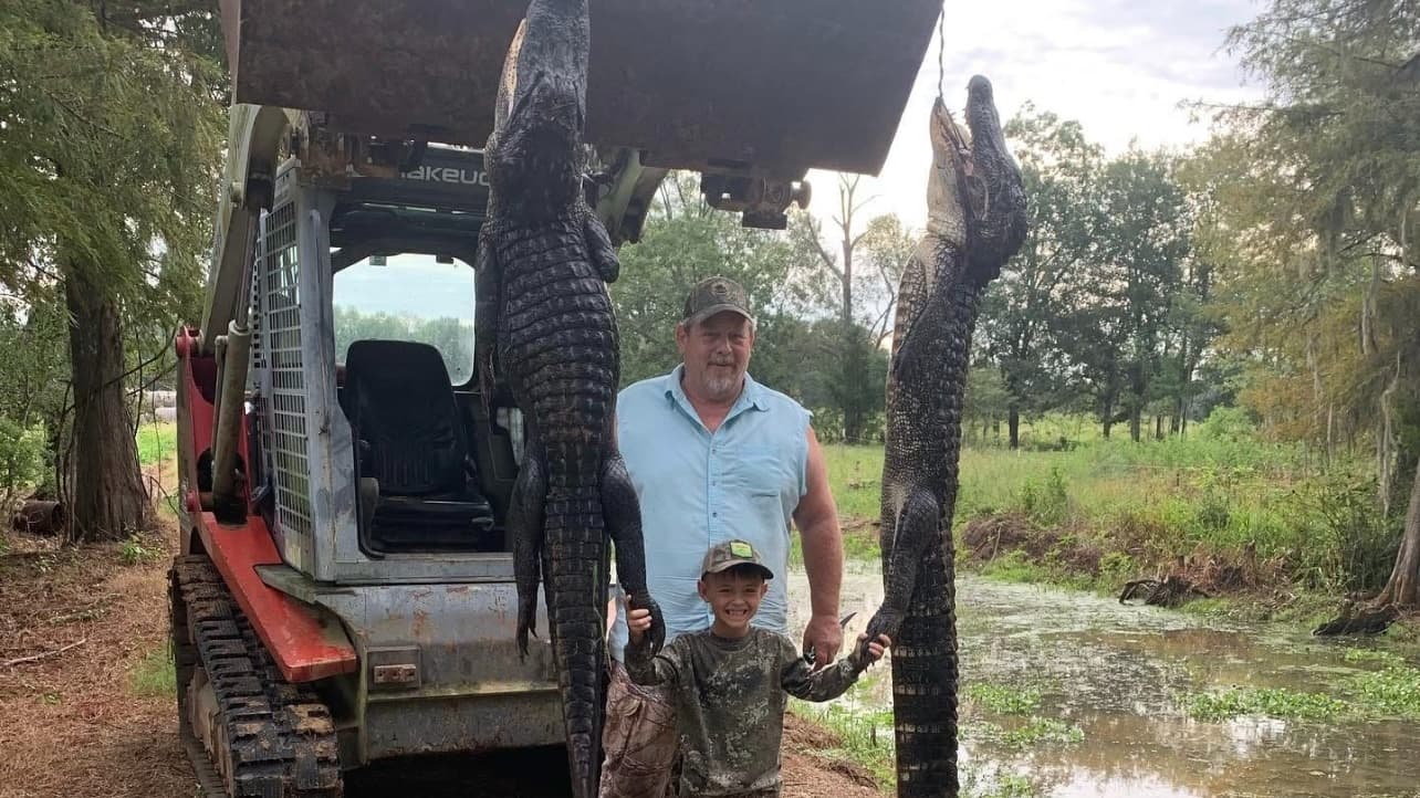 Man and boy with two alligators, one held up by a machine. They stand in front of a tractor. A swampy area is in the backg...