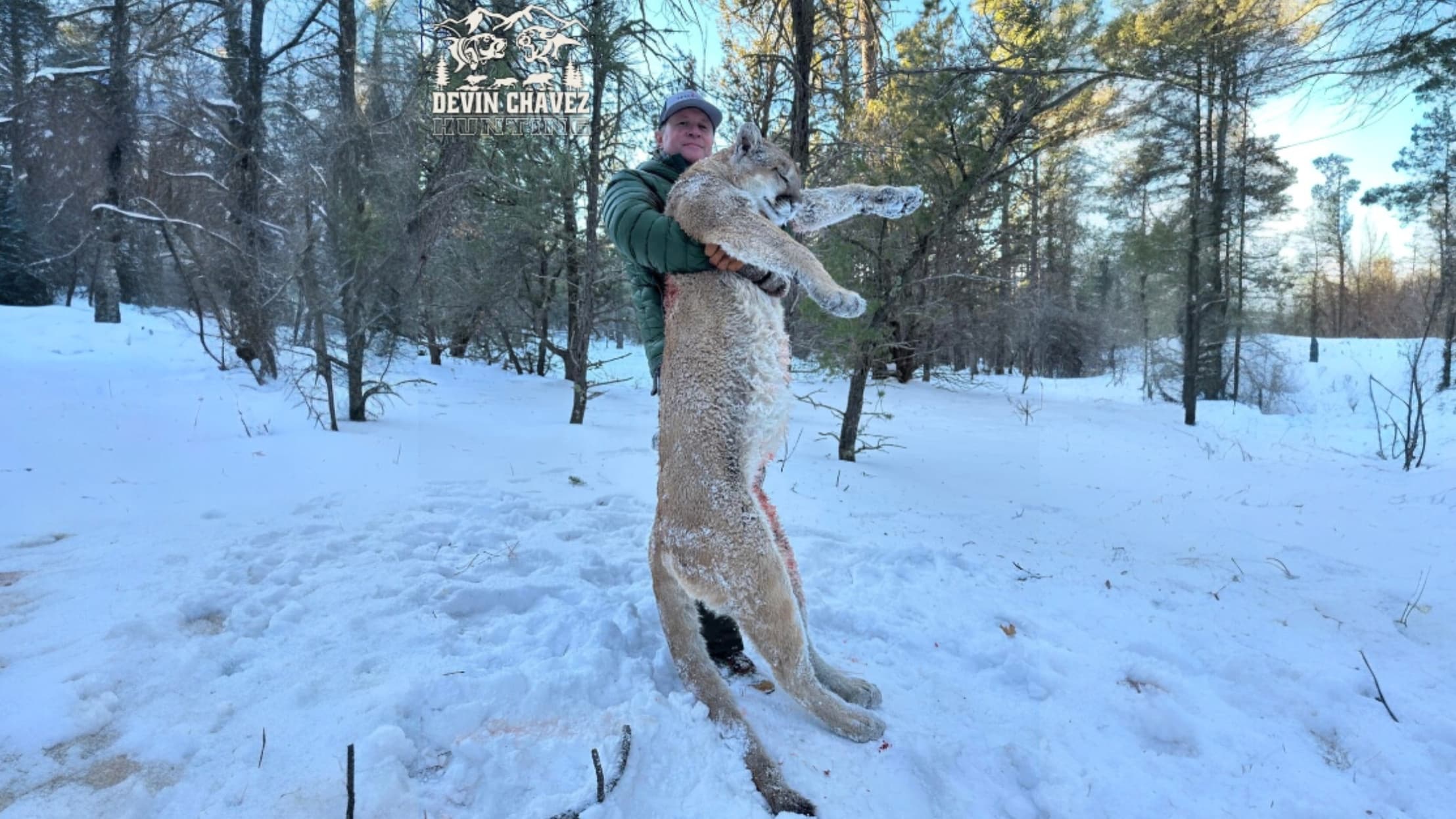 A man holds a large dead cougar in a snowy forest. The cougar's fur is light brown, and the snow is stained with blood. Tr...