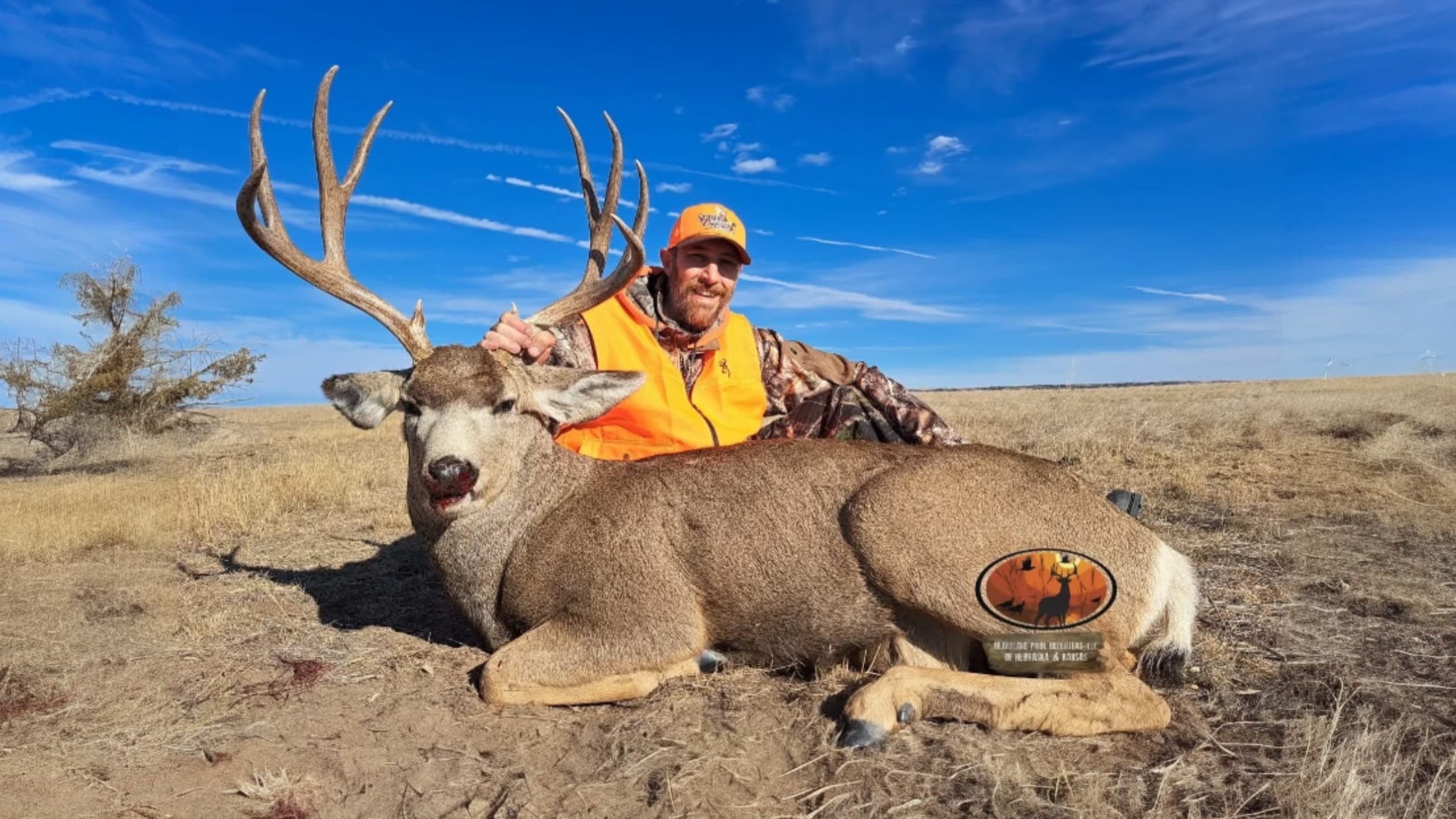 Man in hunting gear poses with a large buck. Deer with large antlers lies in field, man smiling holds antlers. Clear blue ...