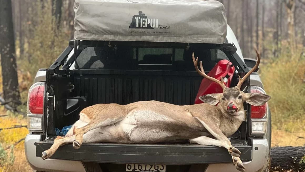 Dead deer with large antlers lying in the bed of a truck with a rooftop tent. A red gas can is visible.