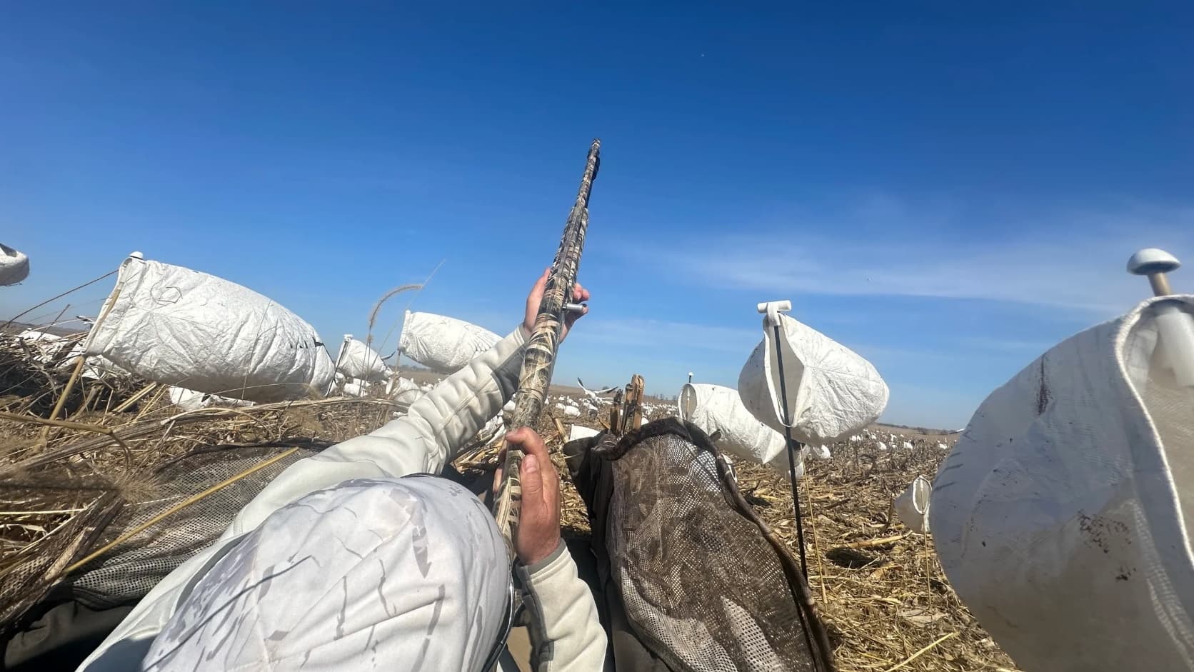 Hunter aiming a camo shotgun upwards under a clear blue sky. White decoys in a field surround the hunter's vantage point.