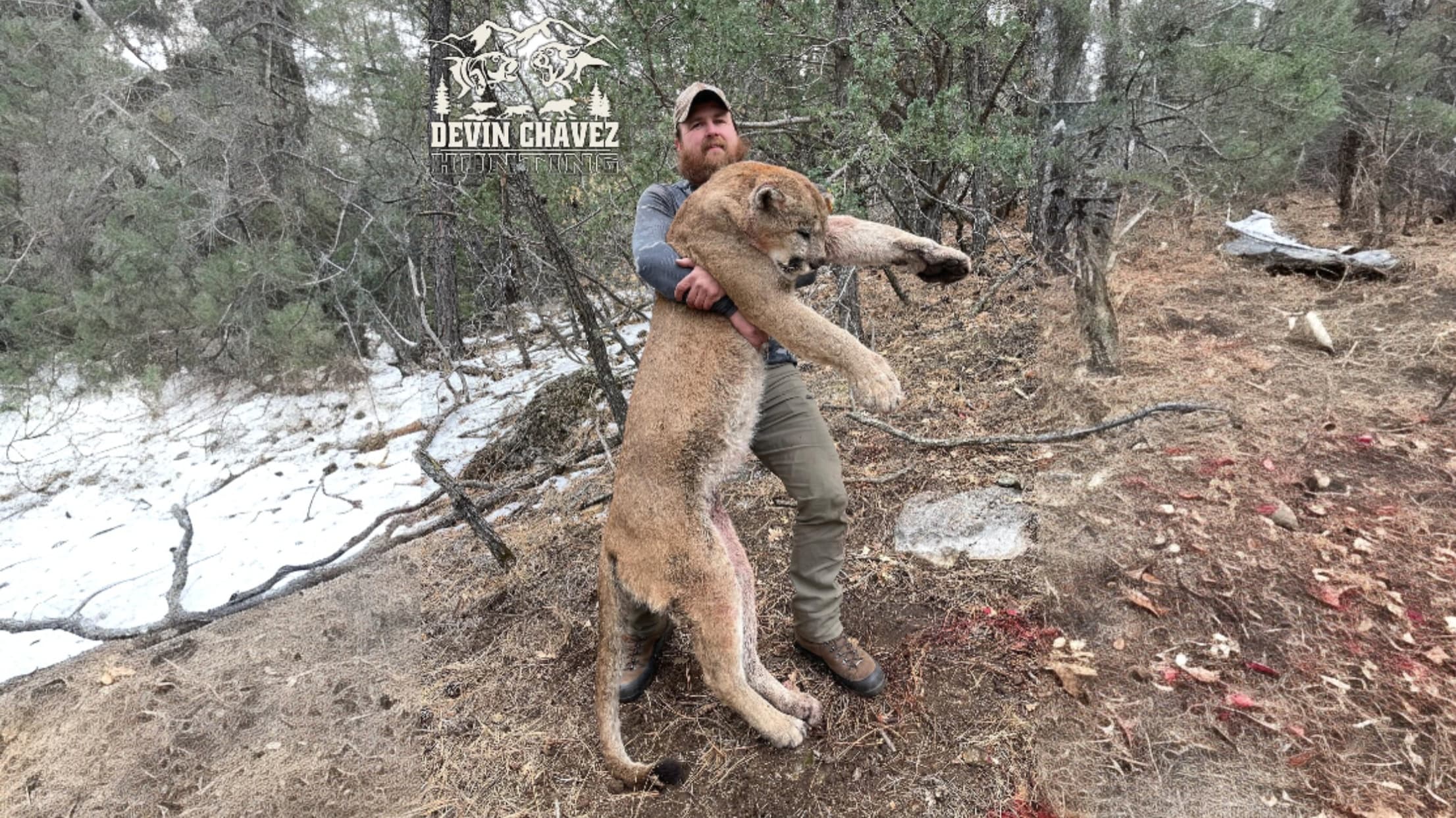 Man holds a dead mountain lion in a wooded area with snow patches. The man has a beard, a hat, and wears earth-toned cloth...