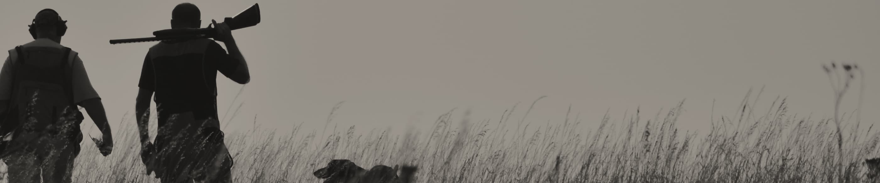 Testimonial background - by Gain insider access to top guides with unmatched local knowledge and years of field experience.