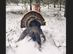 KM Wildlife