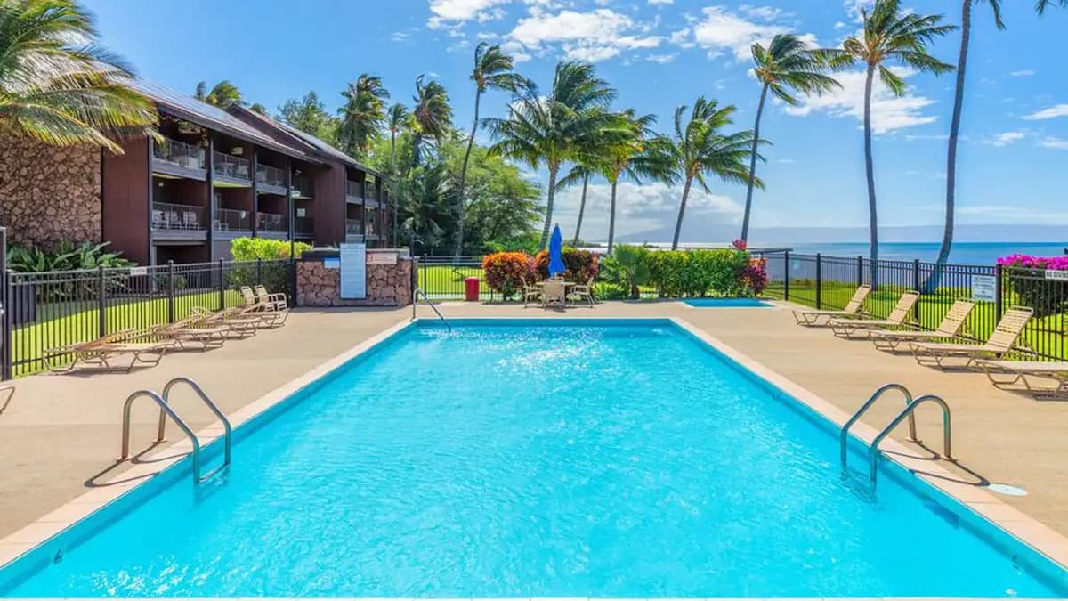 A rectangular swimming pool in front of a tropical resort. Palm trees line the pool, with ocean visible in background. Lou...