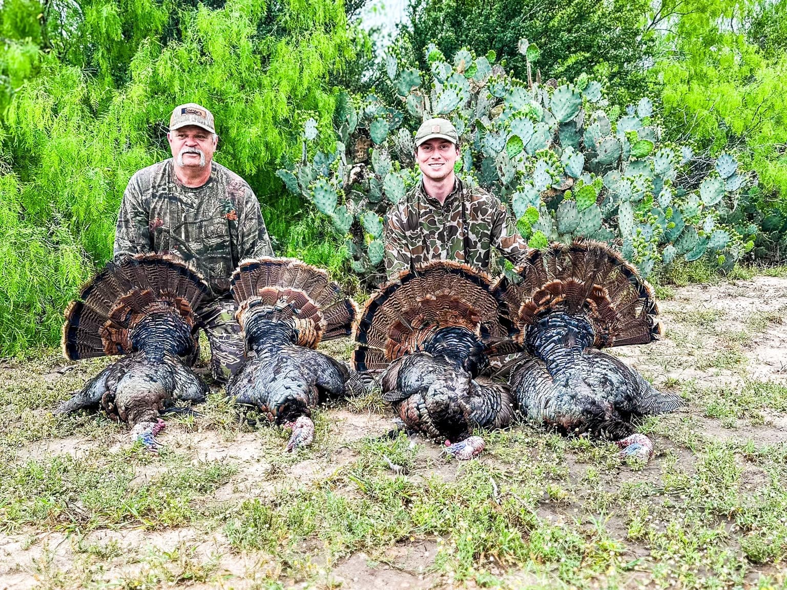 Two men in camouflage pose with four dead turkeys laid out on ground. They're surrounded by foliage, cactus and brush.