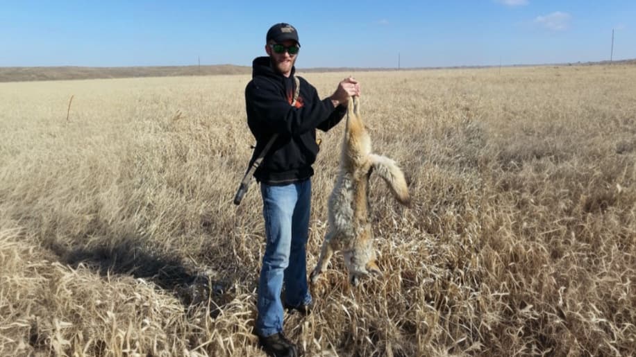 A man in jeans and a black hoodie holds up a dead coyote. Field of dry grass, blue sky. Rifle rests on the man's shoulder.