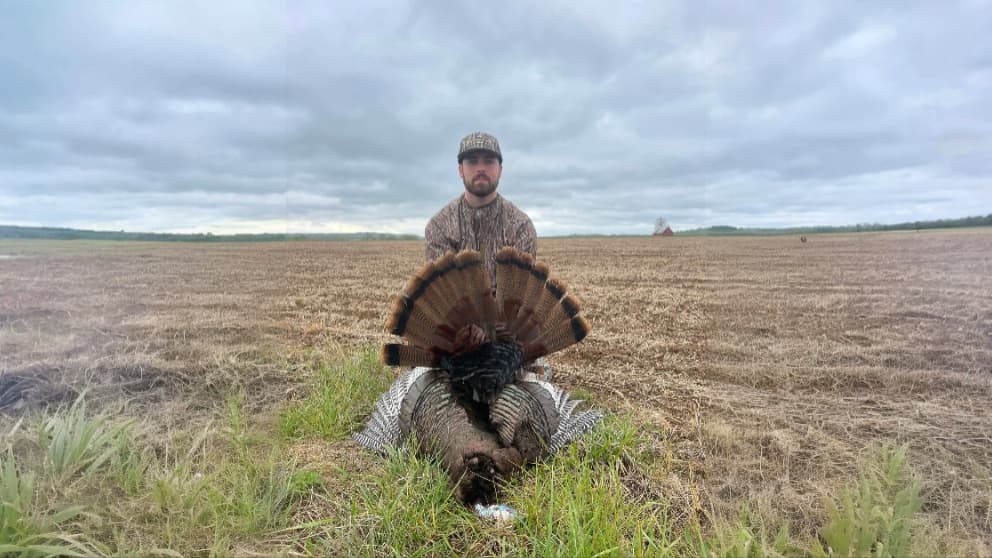 Man in camo holds dead turkey with fanned tail feathers, foreground with grass. Background is a harvested field under over...