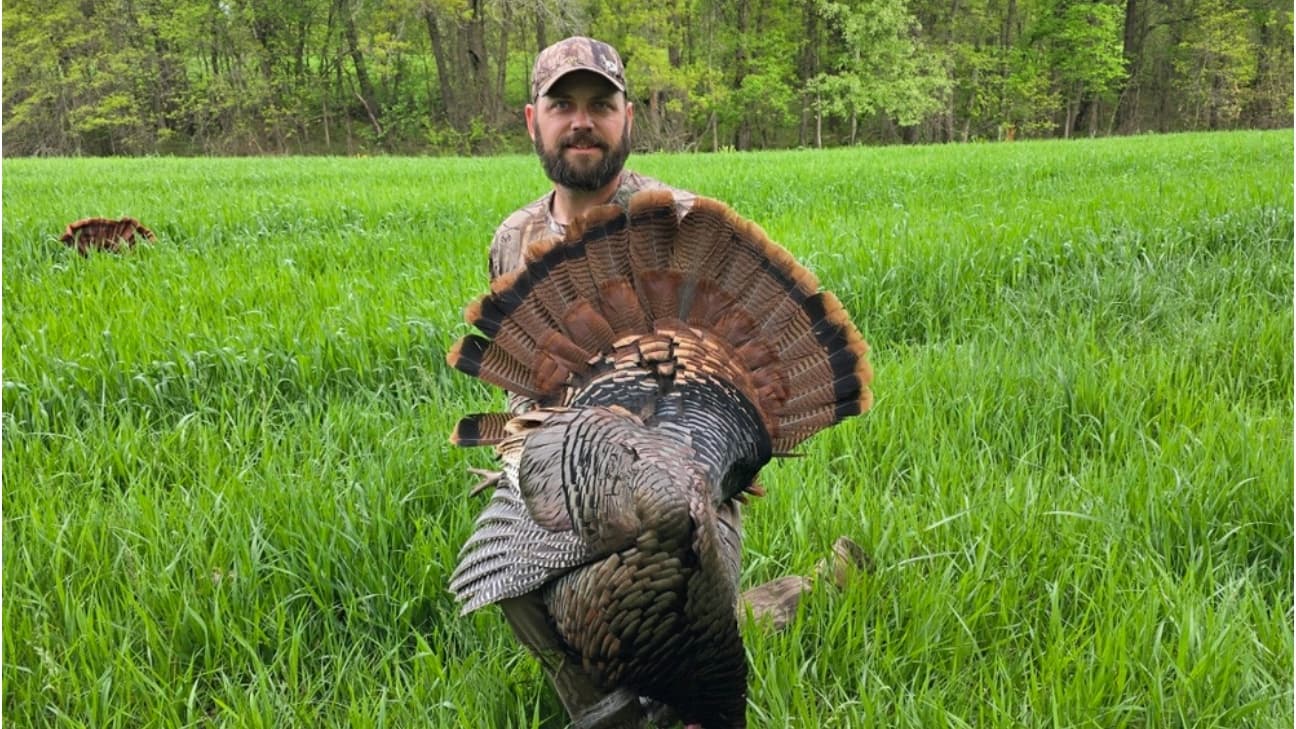 Man holding a fanned-out turkey in a grassy field.