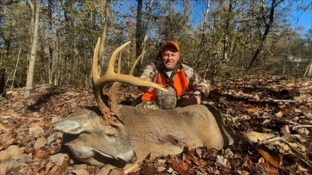 Man in hunting gear poses with a large buck. Buck is lying on leaves in the woods, large antlers, small wound visible on i...