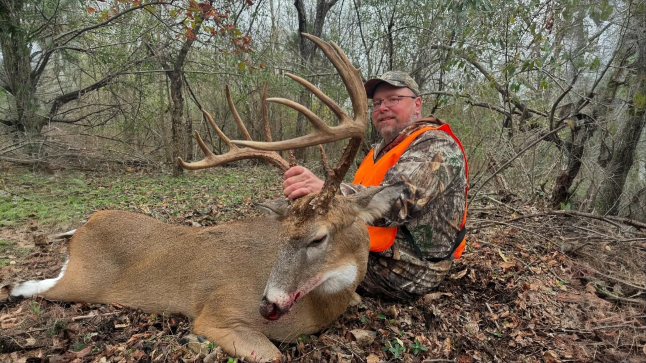 Hunter with a large buck. Man in camouflage and orange vest holds deer antlers. Deer lies on ground in a wooded area.