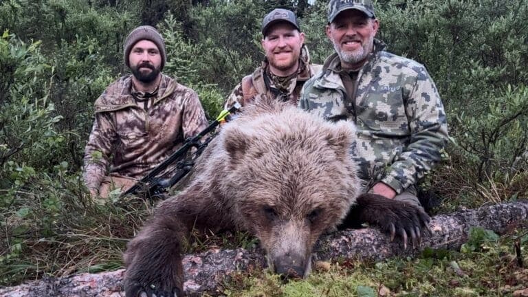 Three men pose with a large brown bear in a forest setting. The bear lies on the ground with the men behind it, smiling. O...