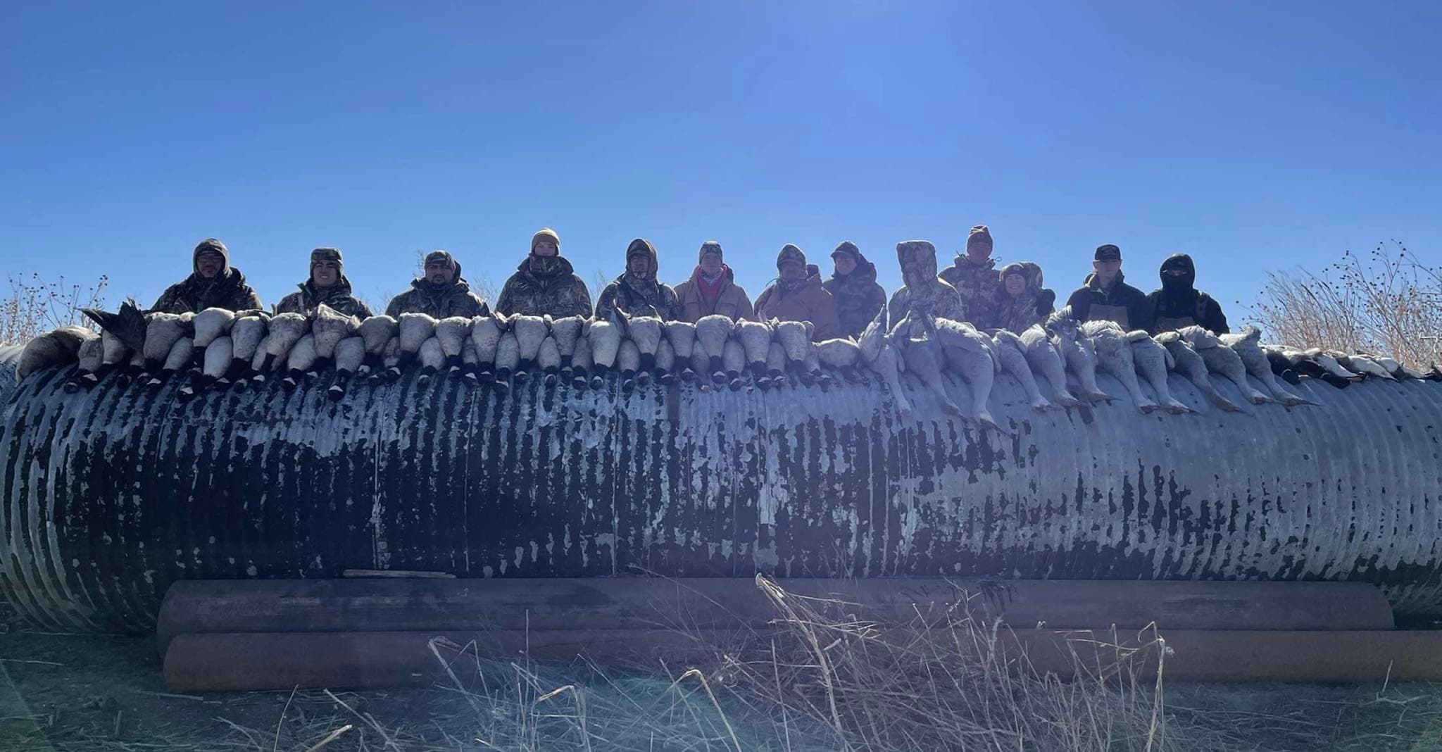 Photo 5 of guide Ambush Waterfowl, Less than 5 years, uses Shotgun, specializes in Dove and Duck and Goose and Sandhill Crane, skilled in Calling and Decoys and Hunting with Dogs