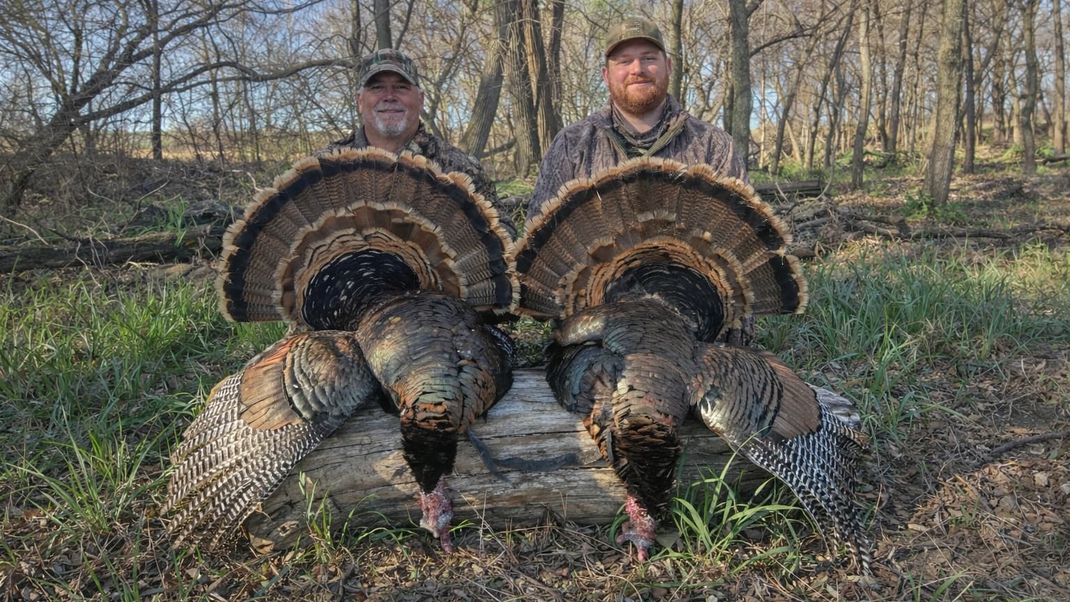 Two men with camouflage attire pose behind two wild turkeys with fanned feathers, displayed on a log in a wooded area.