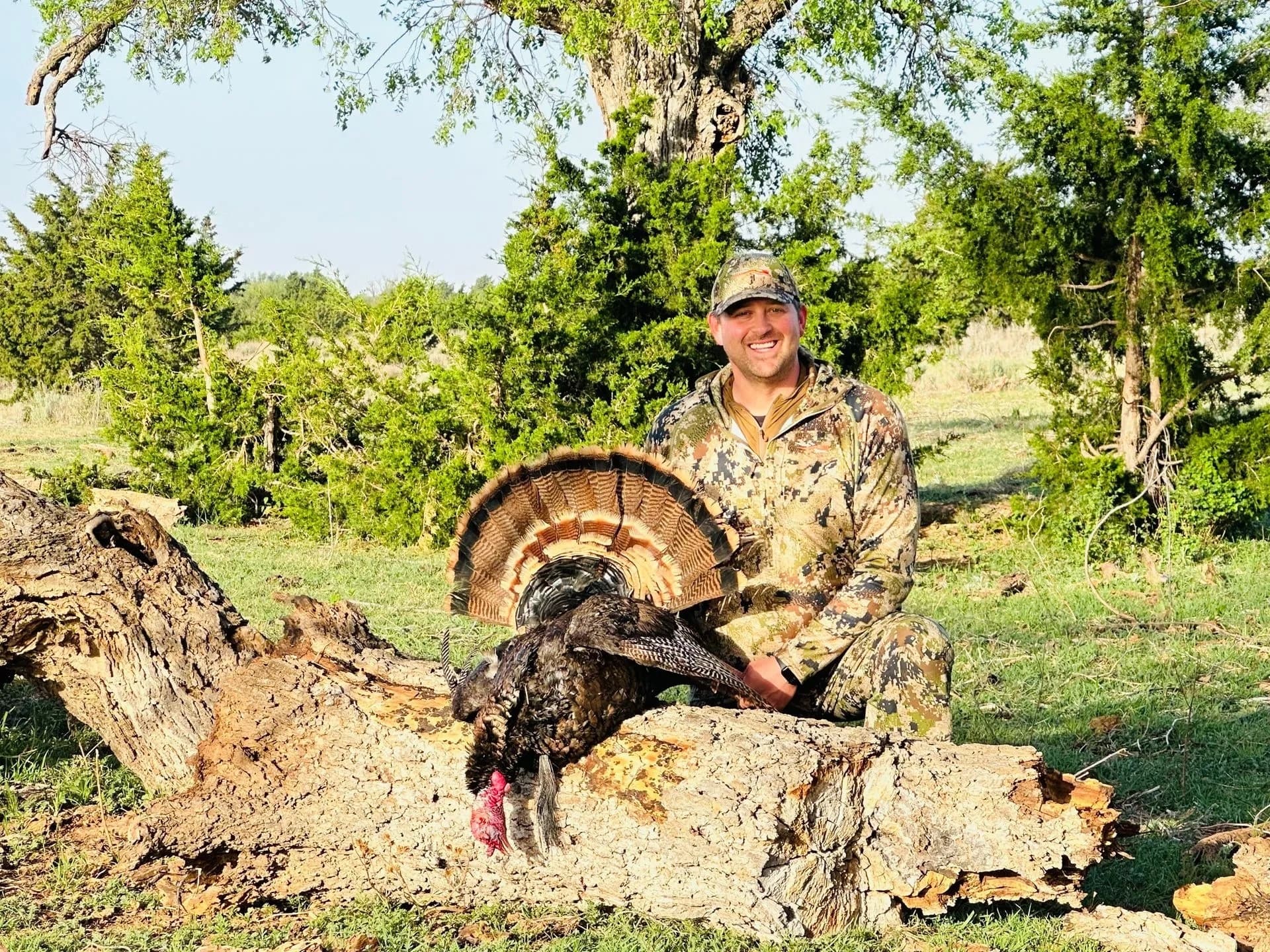 Man in camo, kneeling beside harvested turkey with fanned tail on fallen log in grassy field with trees in background.