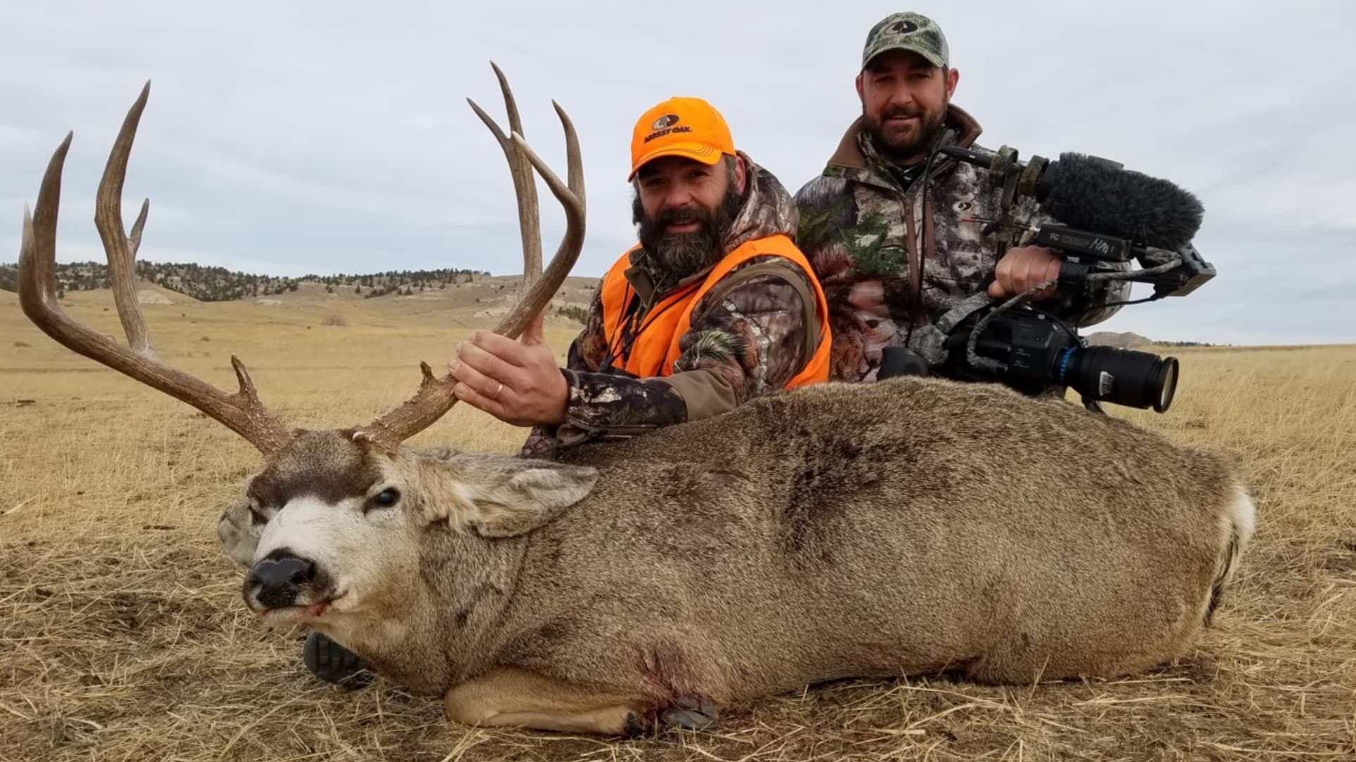 Two men with a large buck. Buck has large antlers, resting in field. One man wears orange hunting vest, other holds camera...