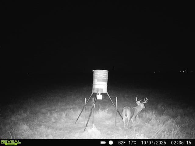 Gallery image 9 of 12