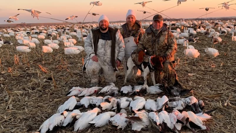 Photo 4 of guide Thompson Outfitters, 20+ years, uses Shotgun, specializes in Snow Geese, skilled in Decoys