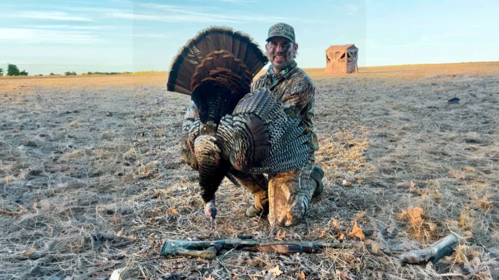 Man in camo kneels, holding a large turkey with fanned tail. A rifle lies nearby. Hunting blind in the background on field.