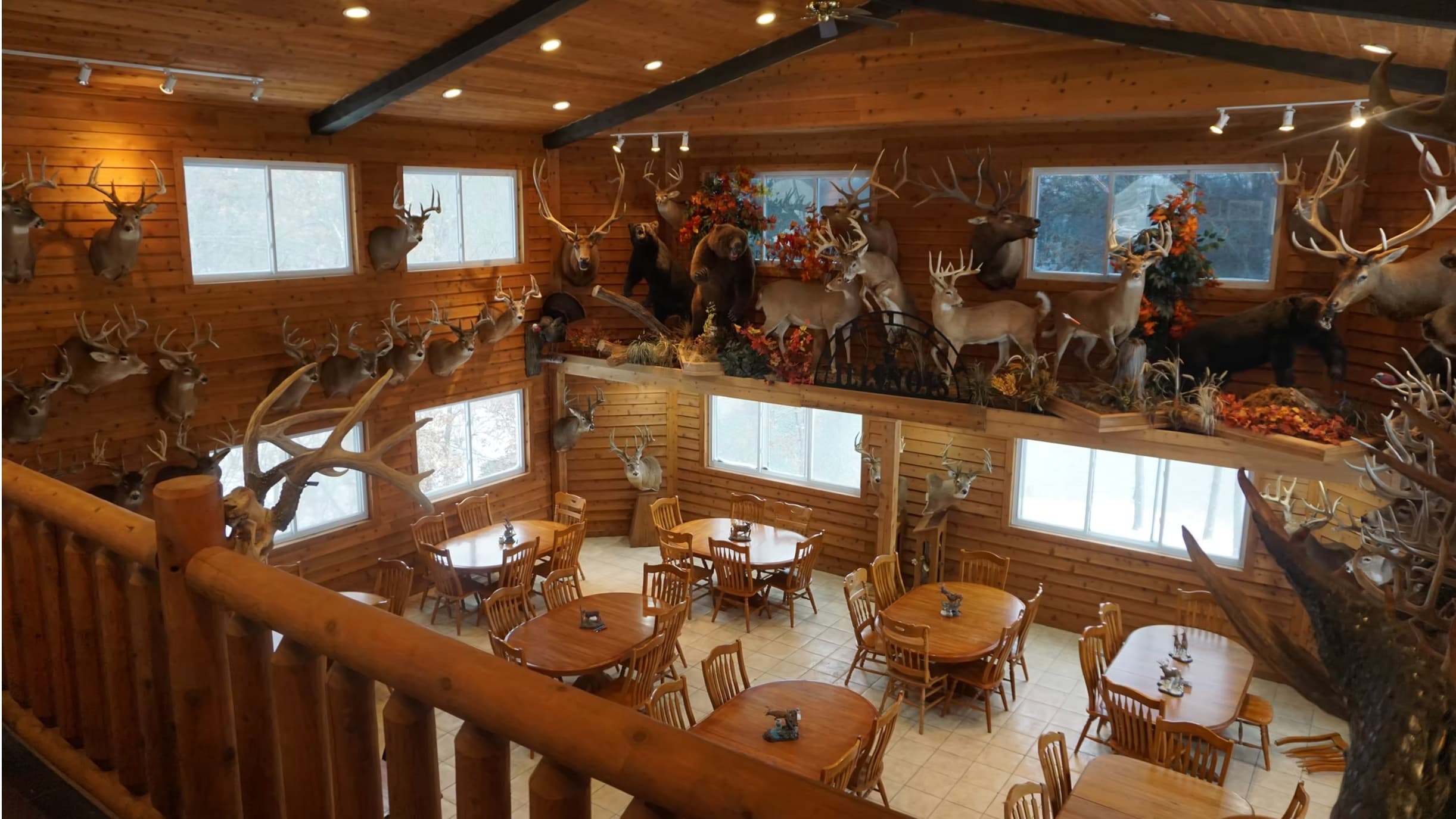 A restaurant with wood paneling. Deer and other taxidermied animals adorn the walls. Round tables and chairs are arranged ...