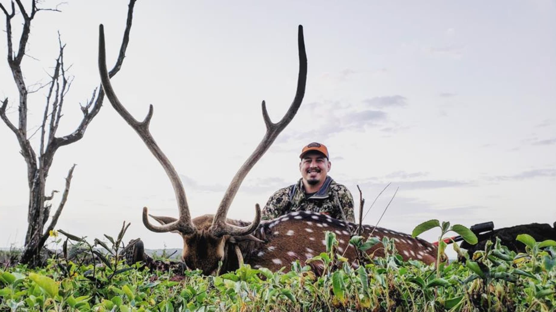 Man smiling next to a dead spotted deer with large antlers. Man in camo and orange hat. Deer lies in vegetation.