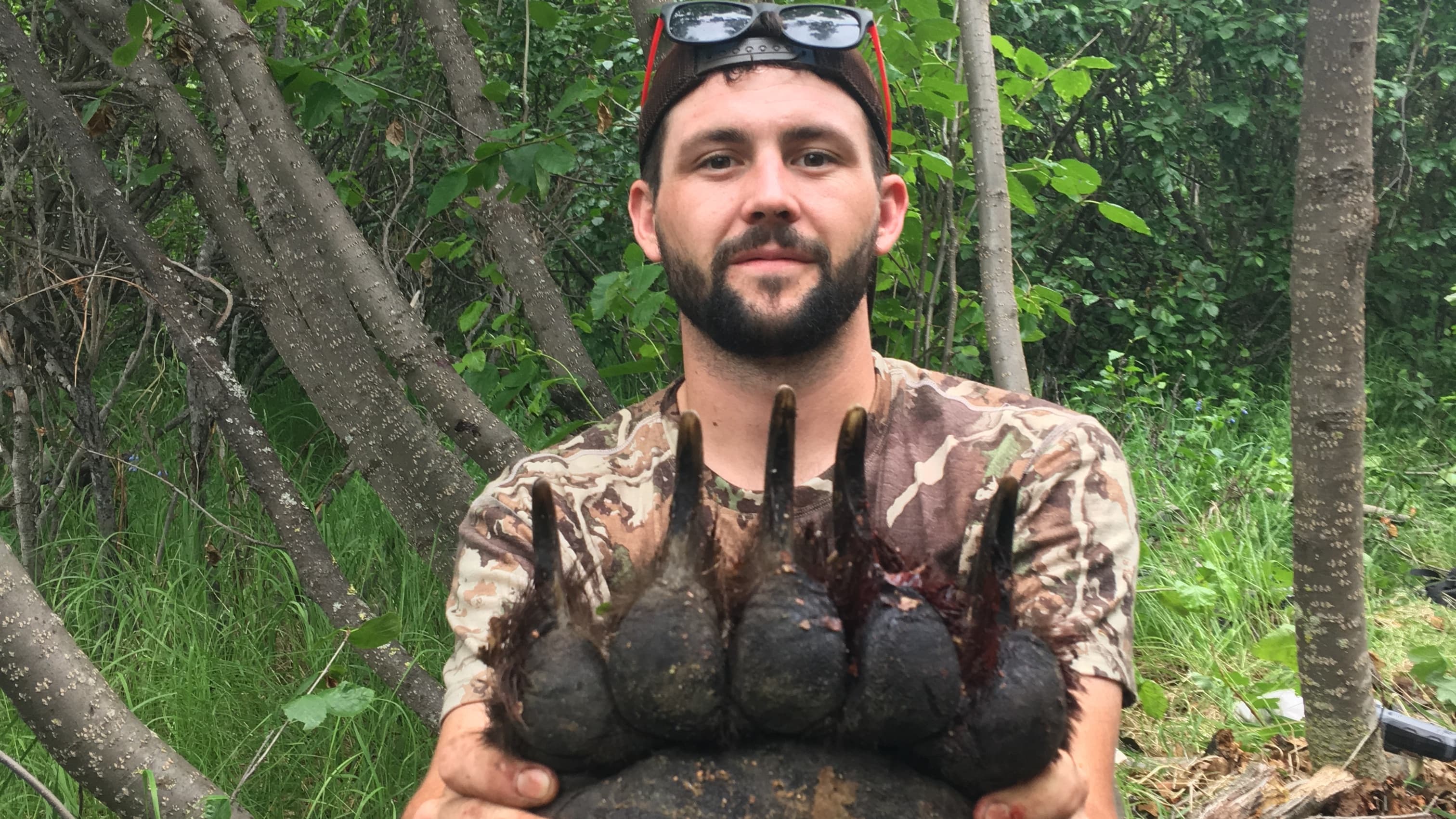 Man in camo shirt holds large bear paw with claws. Sunglasses on hat. Background of trees and green foliage.