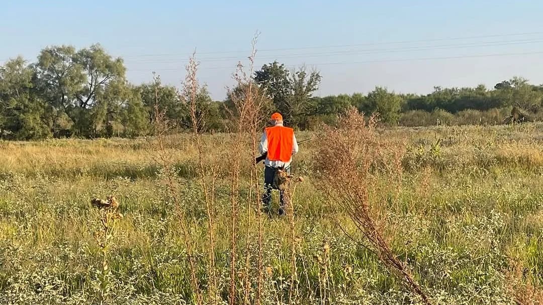 Photo 4 of guide Shotz Fired Guide Service, 20+ years, uses Shotgun, specializes in Chukar and Dove and Duck and Pheasant and Quail, skilled in Calling and Decoys and Ground Blind and Hunting with Dogs and Walk-Up (Flush) Hunting