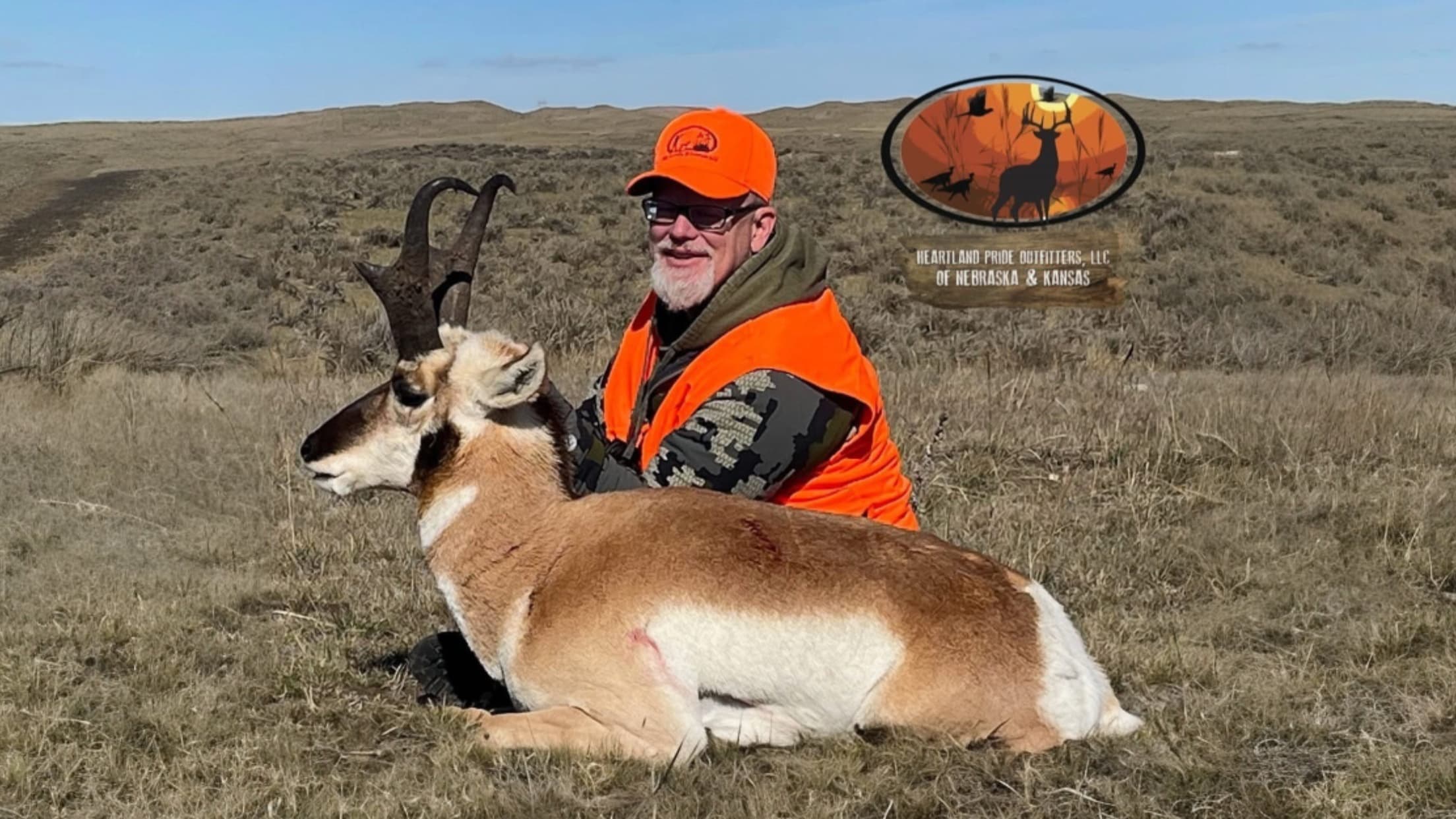 Man in orange vest kneels next to a pronghorn antelope in grassy field. Antelope rests on the ground. Logo in background.