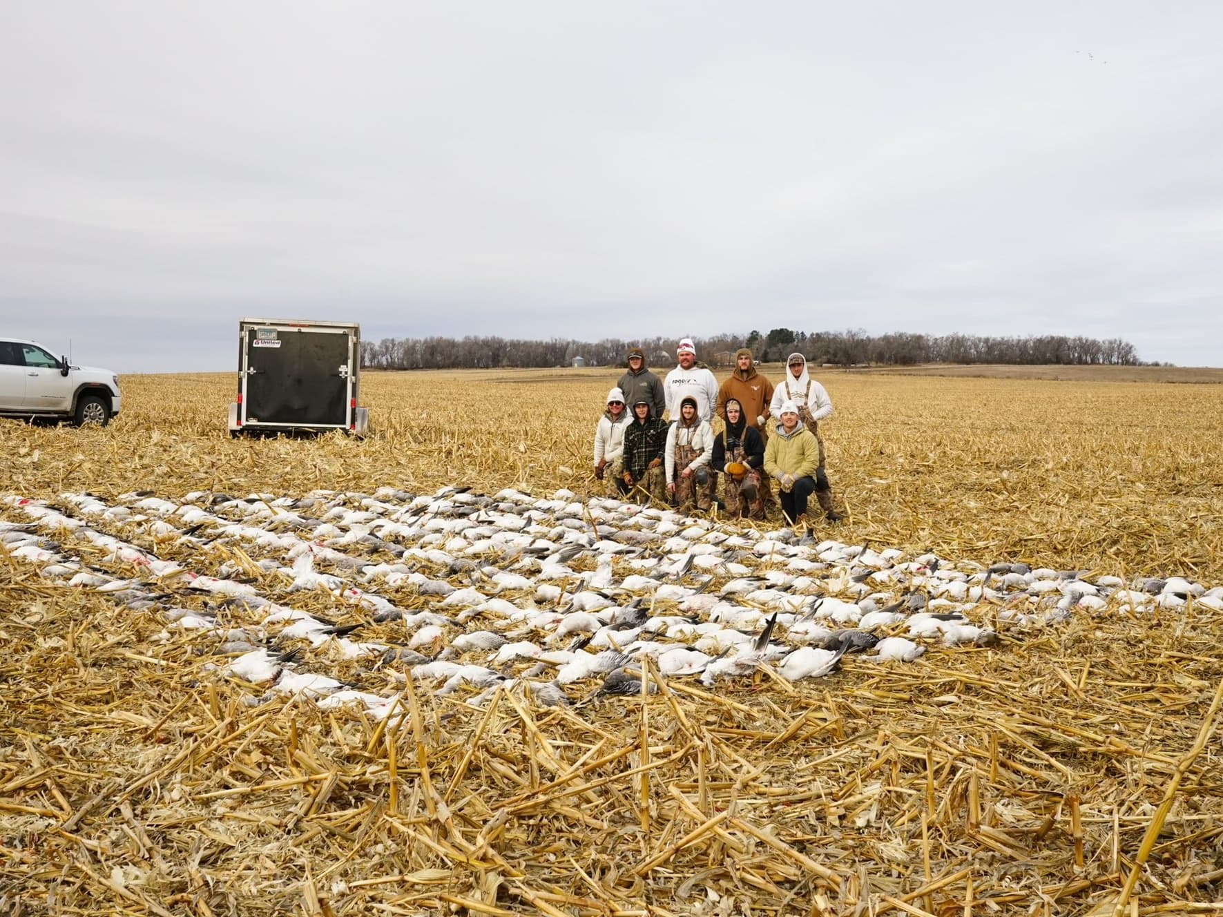 A group of people posing behind a large collection of harvested geese in a harvested cornfield. A trailer and truck are vi...
