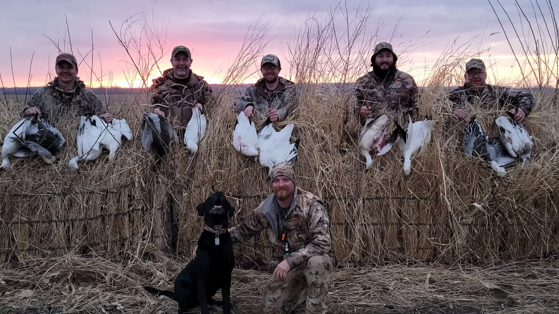 Six hunters pose with harvested geese in front of a sunset. A black dog sits in the foreground with a kneeling hunter. Hun...