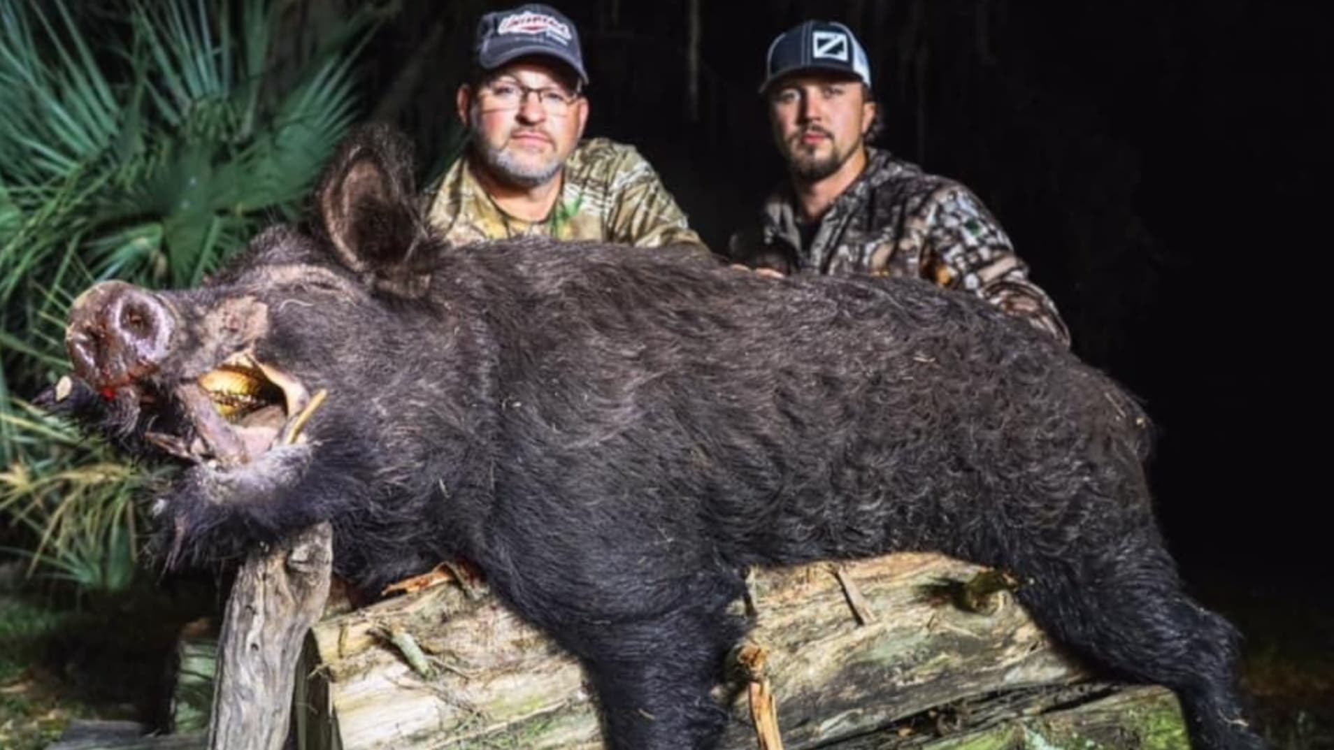 Two men pose with a large, dead wild boar. The boar, lying on wood, has exposed tusks and a bloody snout. Men wear camo an...