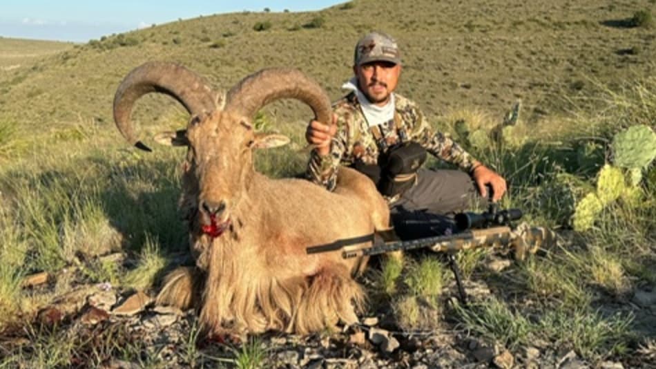 Photo 8 of guide LOH Outfitters, 20+ years, uses Bow and Crossbow and Muzzleloader and Rifle, specializes in Barbary Sheep and Deer and Elk and Gemsbok and Ibex and Mule Deer and Oryx, skilled in Calling and Spot and Stalk and Still Hunting