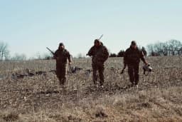 Fox Flyways