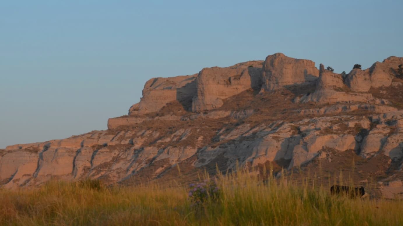 A large, tan rock formation under a blue sky, lit by the setting sun. Tall grass in the foreground. A cow is in the right ...