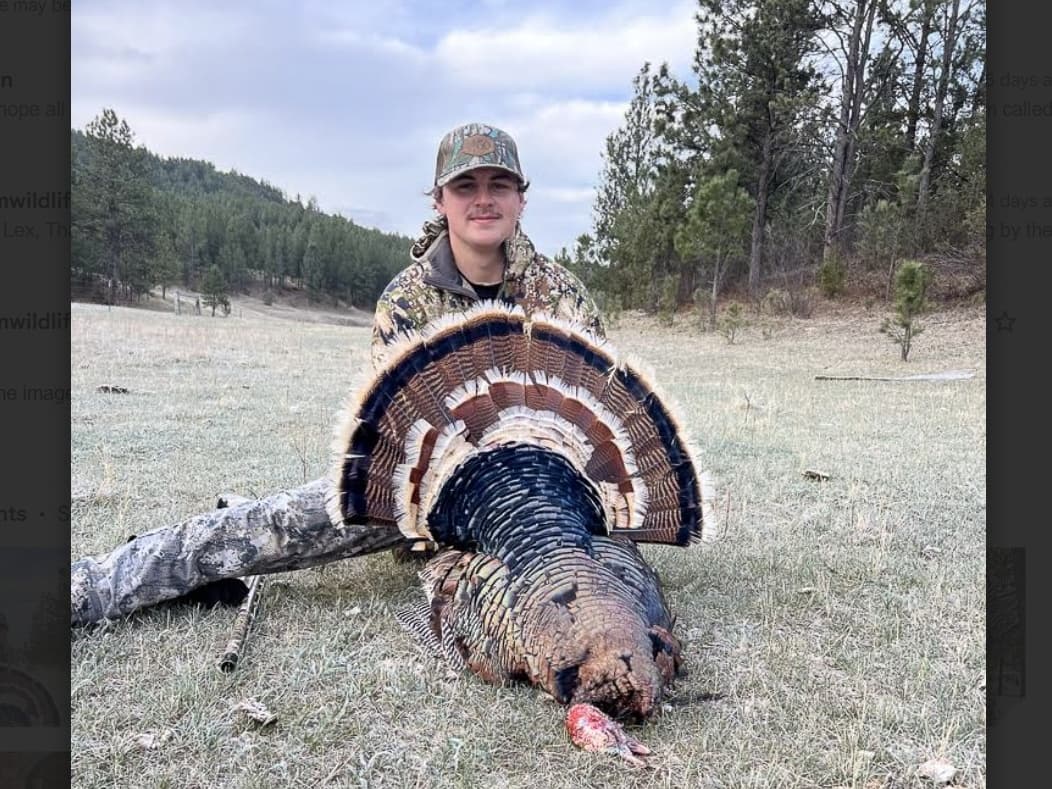 Young man in camo holds a large wild turkey fanned out on the ground. Background includes trees, field, and overcast sky.