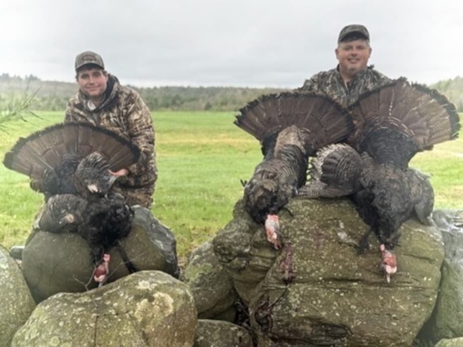 3-Day Guided Maine Turkey Hunt