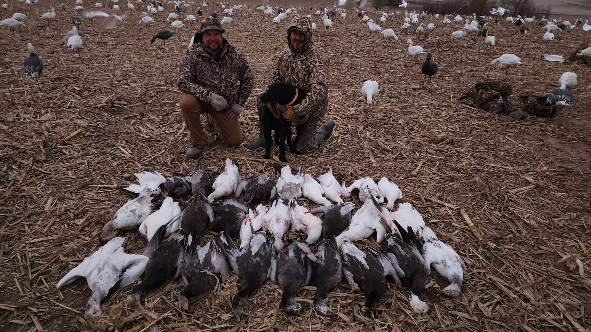 Photo 5 of guide Trophy Wildlife Outfitters, 5 - 10 years, uses Shotgun, specializes in Duck and Goose, skilled in Decoys and Still Hunting