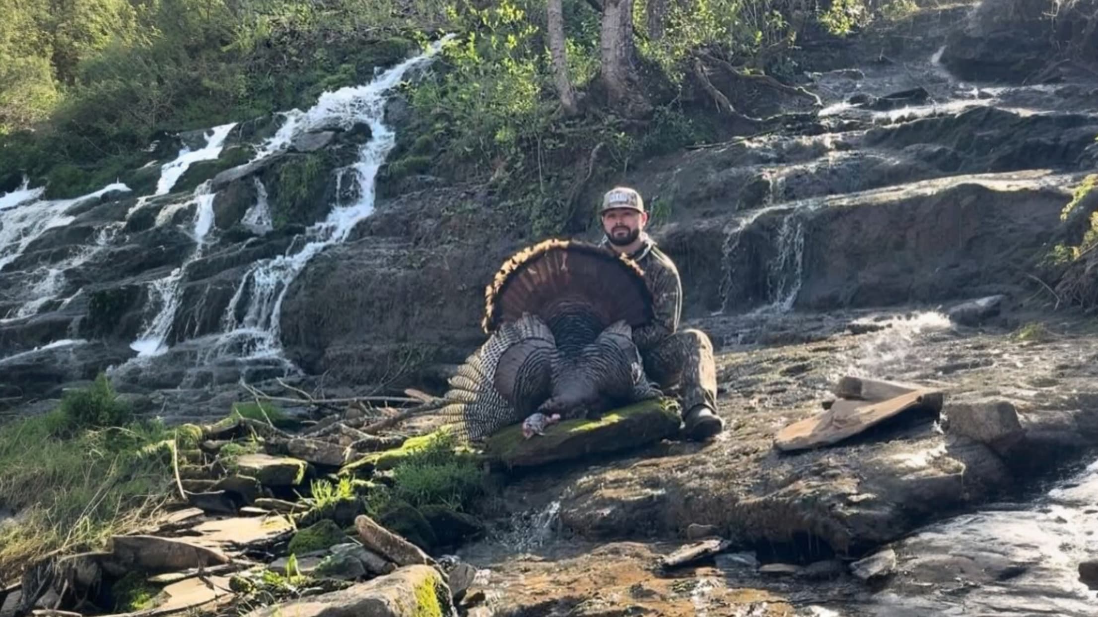 Man kneels beside waterfall holding a large wild turkey with fanned tail feathers. Rocky terrain, lush foliage, water flow...