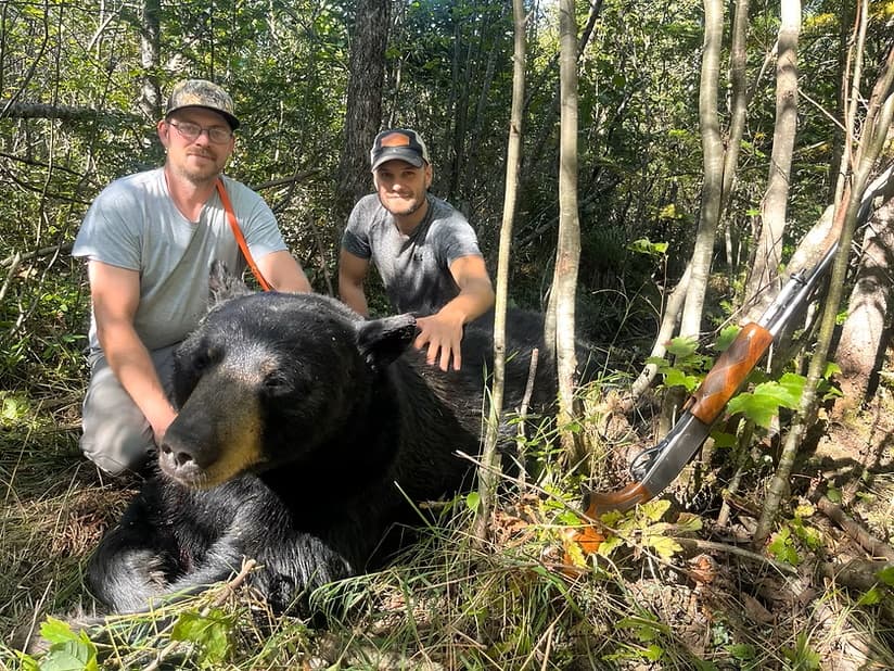 Photo 10 of guide Schanz's Guide Service, 20+ years, uses Rifle, specializes in Bear and Deer and Moose and Turkey, skilled in Baiting and Hunting with Dogs and Spot and Stalk and Tracking