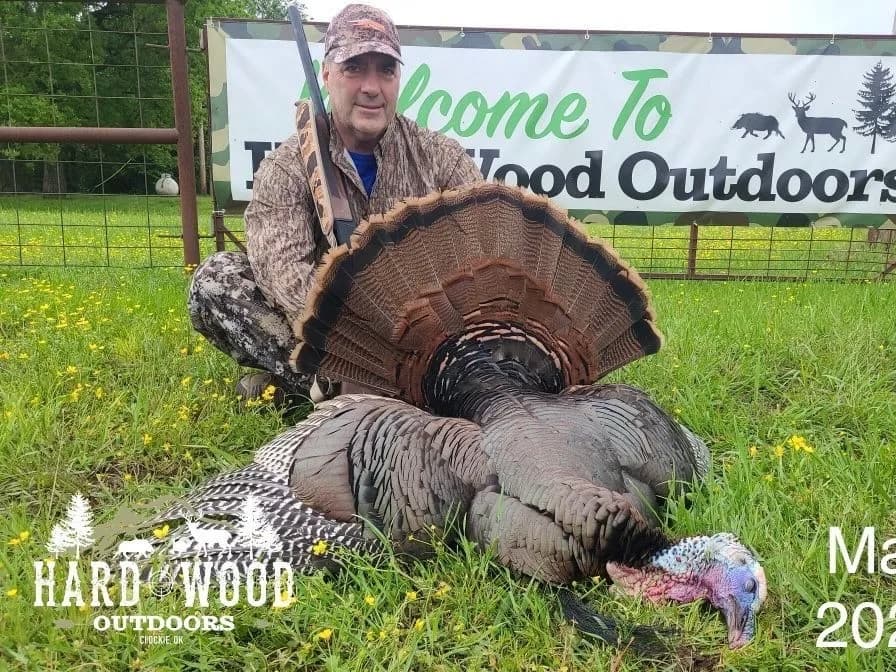 Man in camo holds a harvested turkey. The bird lies in grass with its fan displayed. A "Hard Wood Outdoors" sign is present.