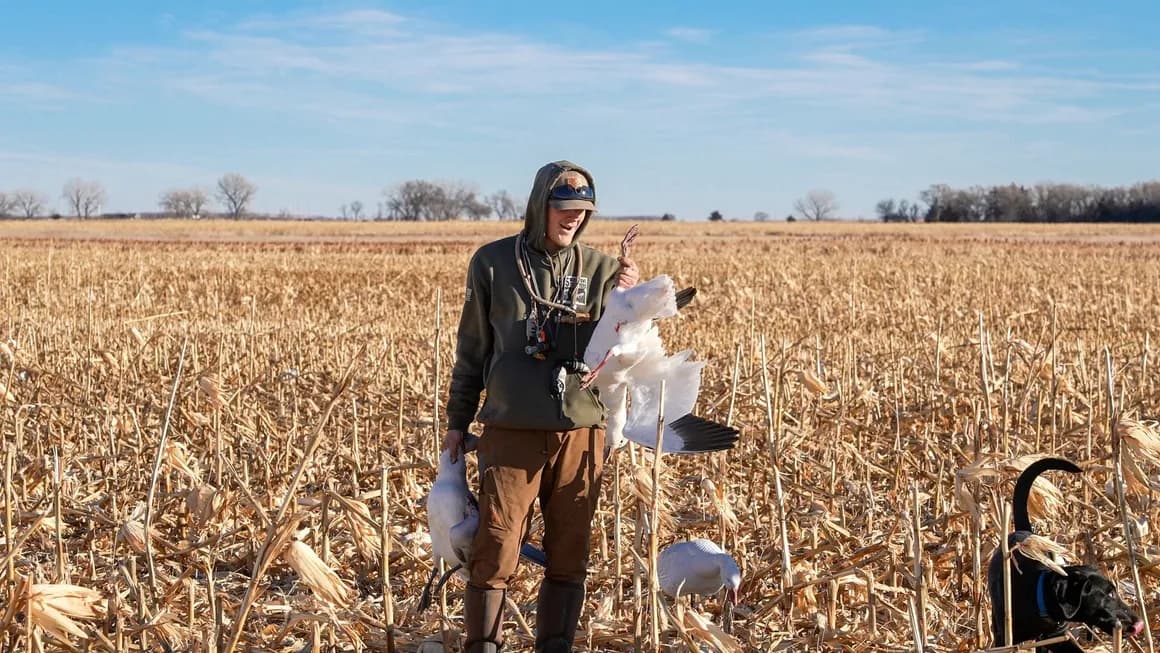 Photo 2 of guide 605 Waterfowl Outfitters, 10 - 20 years, uses Shotgun, specializes in Duck and Goose, skilled in Decoys and Hunting with Dogs