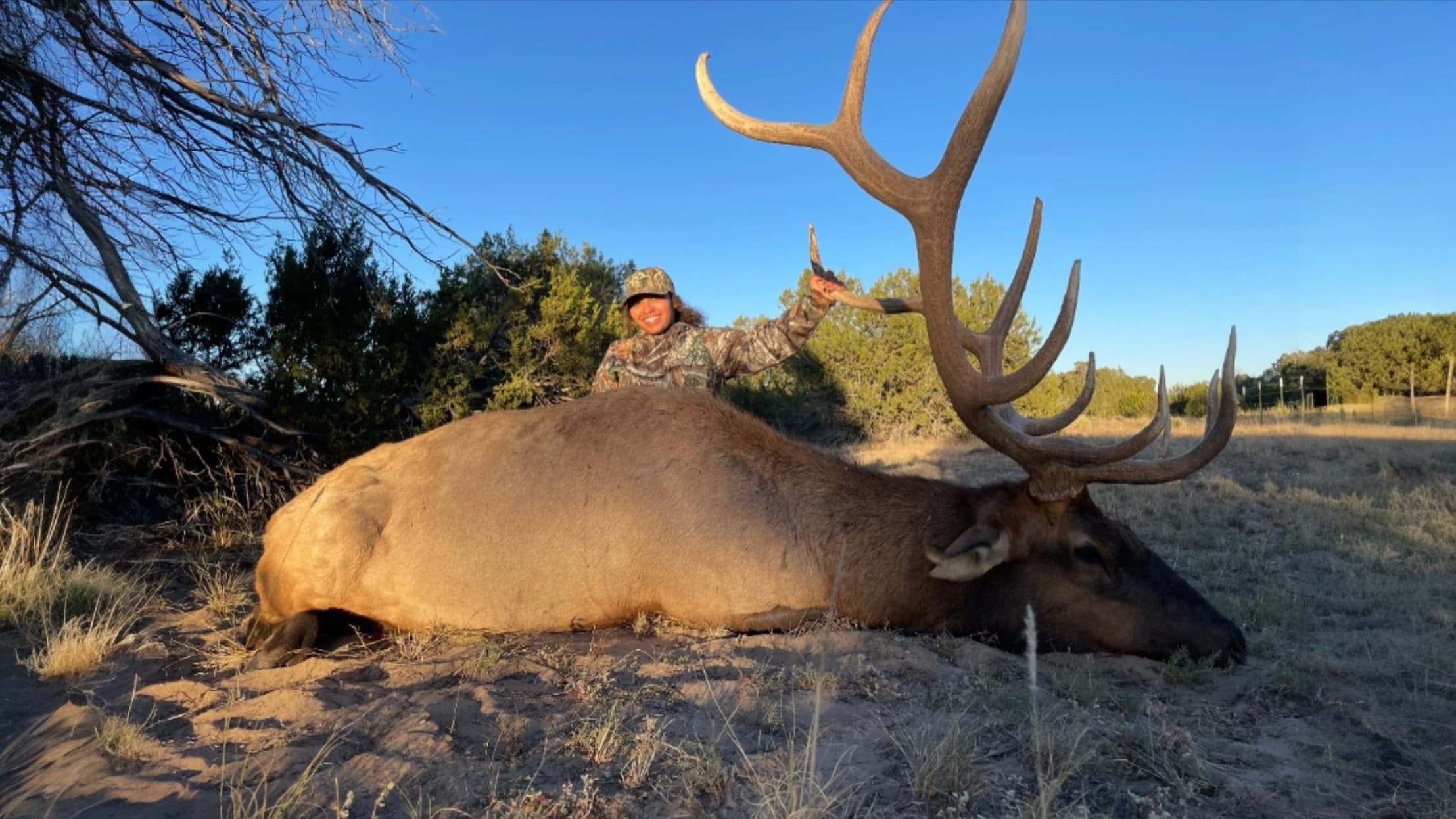 Woman in camo holds antlers of a large bull elk lying on the ground, smile and blue sky.
