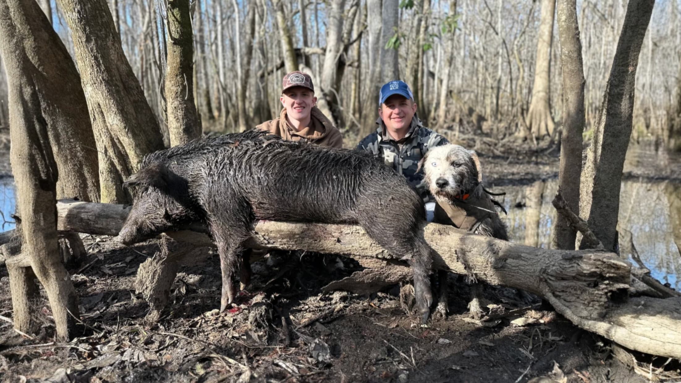 Two men and a dog pose with a large wild boar in a swamp. The boar is muddy. The dog is looking at the camera.