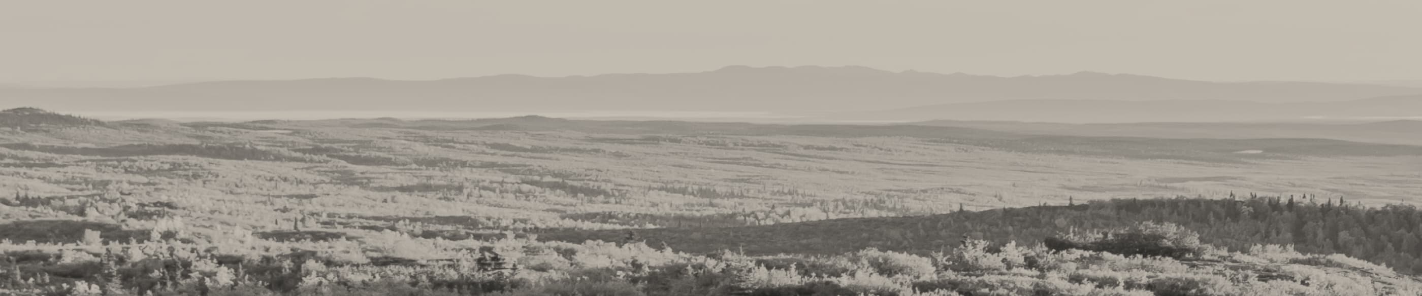 Testimonial background - by Experience species, locations, and once-in-a-lifetime hunts you won’t find anywhere else.