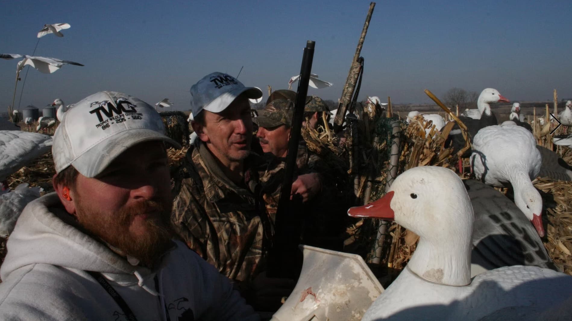 Hunters in camouflage gear with shotguns, surrounded by decoys in a field. One man wears a TWG hat, duck decoy in the for...