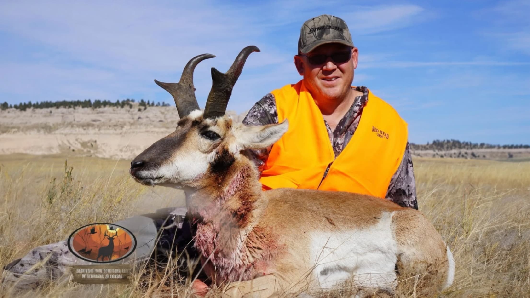 Man in orange vest and camo hat with a harvested pronghorn antelope. Antelope has large horns, lying in field. Blue sky ba...
