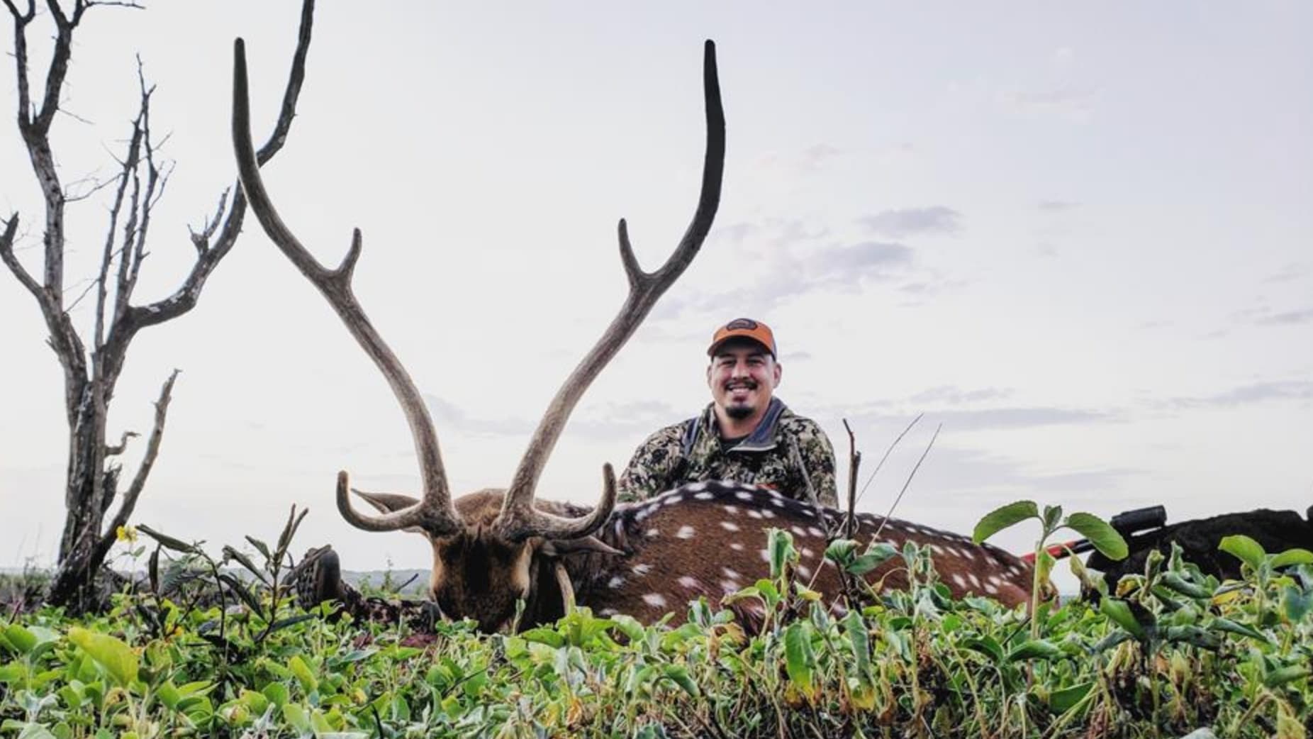 Go Hawaii Outfitters